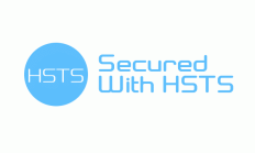 为什么 HTTPS 网站应使用 HSTS（严格传输安全）