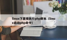 linux下直接执行php脚本（linux启动php命令）