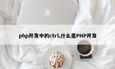 php开发中的ctrl,什么是PHP开发