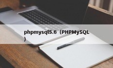 phpmysql5.6（PHPMySQL）