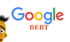 聊聊BERT（Transformer 的双向编码器表示）和 LLM（大型语言模型）之间的比较