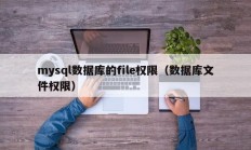 mysql数据库的file权限（数据库文件权限）