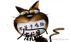 干净的代码取代 All-in-One-SEO 插件实现 WordPress SEO 优化 