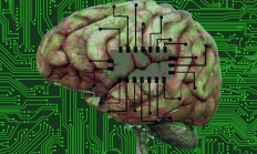 ChatGPT 背后的人工神经网络已有 80 年历史，从倒霉到颠覆世界