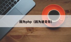 因为php（因为遇见你）