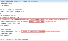 nanoGPT：以古诗集为例，训练自己的GPT模型