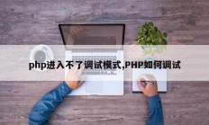 php进入不了调试模式,PHP如何调试