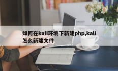 如何在kali环境下新建php,kali怎么新建文件