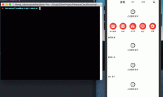 颤动|定义各种网络请求 Widget