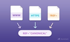 WordPress SEO优化教程：规范URL权威指南