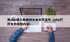 用php插入数据到文本文件当中（php打开文件读取内容）
