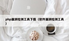 php漏洞检测工具下载（软件漏洞检测工具）