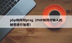 php如何对preg（PHP如何对输入的秘密进行加密）