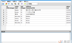 PostgreSQL NOT IN 条件查询：从指定否定 IN 条件的表中检索数据 
