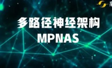 谷歌AI发布MPNAS，多领域学习通用模型，MDL多路径多领域通吃！ 