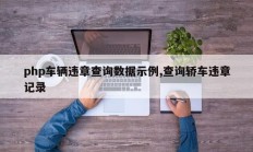 php车辆违章查询数据示例,查询轿车违章记录