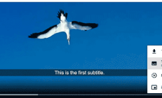 初探 HTML video 视频字幕