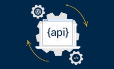 WordPress 函数向远程 API 发出 Get 和 Post 请求，如何使用它？ 