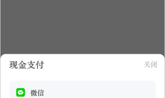 前端Vue自定义微信支付弹框dialog alert popup