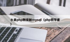 小弟php刚接触mysql（php初学者）