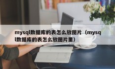 mysql数据库的表怎么放图片（mysql数据库的表怎么放图片里）