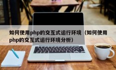 如何使用php的交互式运行环境（如何使用php的交互式运行环境分析）