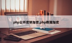 php公开密钥加密,php数据加密