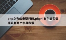 php之布尔类型判断,php中布尔类型数据只有两个字真和假