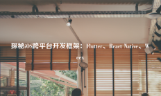 iOS跨平台开发框架：探索Flutter、React Native、Weex！ 