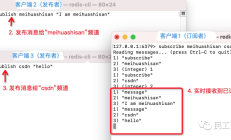 ChatGPT 的工作原理：模型是什么？ 
