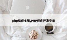 php编程小组,PHP程序开发专员