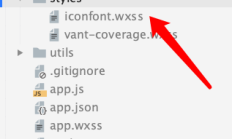微信小程序开发技巧：Promise、如何写scss、如何搭建Webstorm 