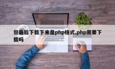 但最后下载下来是php格式,php需要下载吗