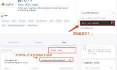 Docker安装Python有两种方式