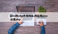 java和php开发网站,网站用java还是php
