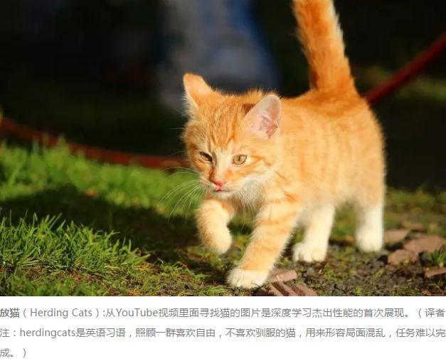 同心圆可视化展示AI人工智能、机器学习和深度学习三者的区别与联系