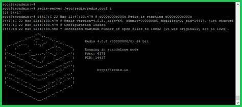 Redis是什么？使用场景有哪些？Redis7.0安装教程