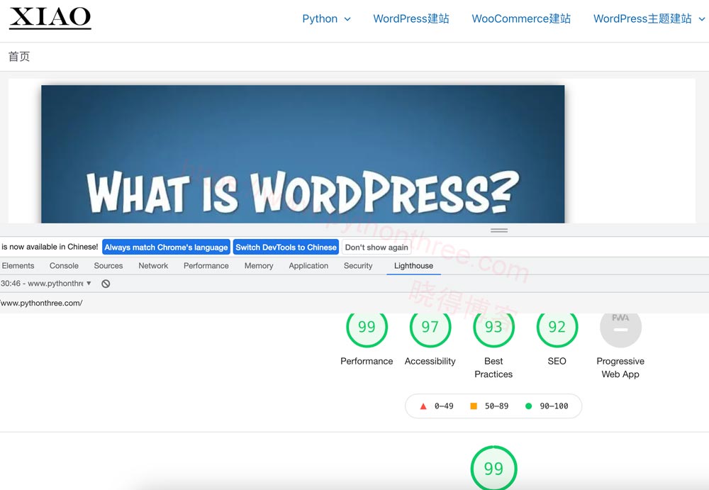 什么是Largest Contentful Paint (LCP)？ 为什么LCP对SEO很重要？