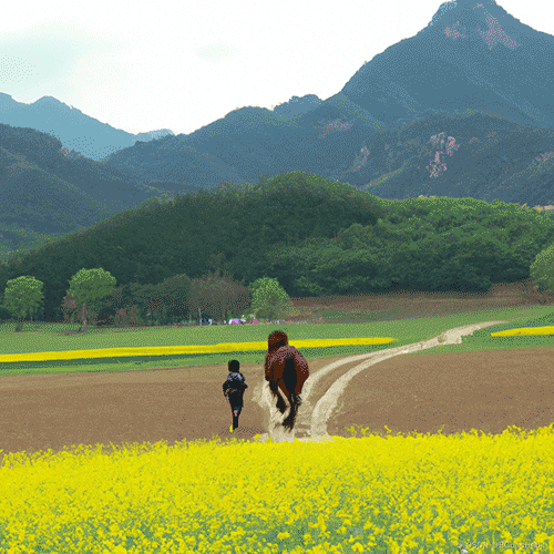 ChatGPT API接口使用+fine tune微调+prompt