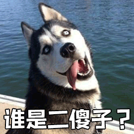 2023StackOverflow 调研结果：PostgreSQL是世界上最成功的数据库