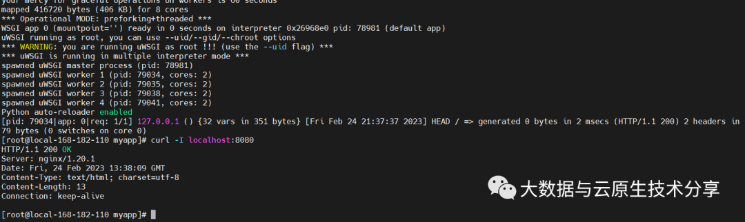 Python Web 应用程序开发之WSGI、uWSGI 和 uwsgi 介绍