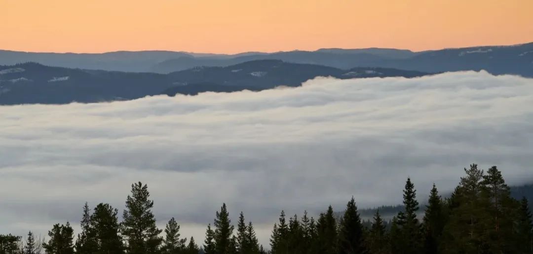 MySQL间隙锁死锁问题场景还原