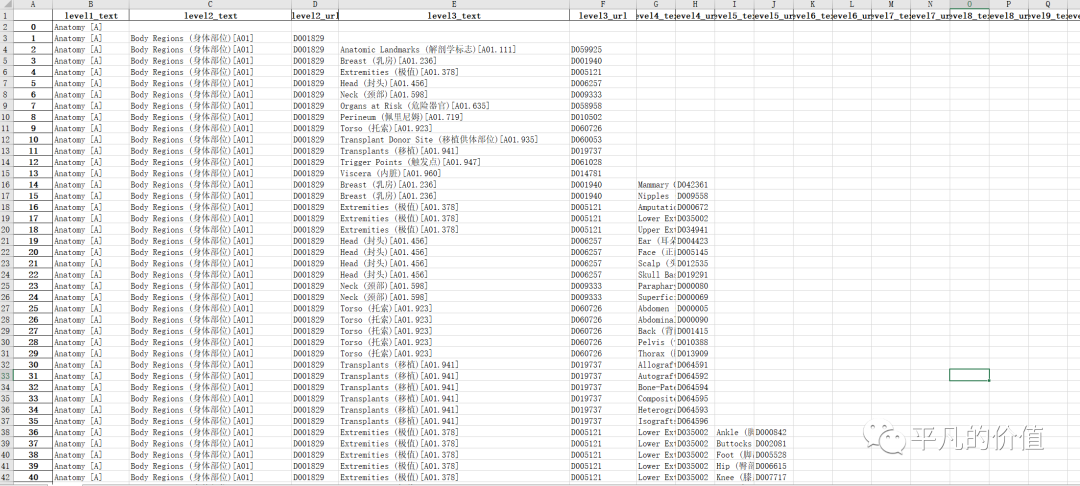 Neo4j知识图谱搭建与使用方法——MeSH(A)为例