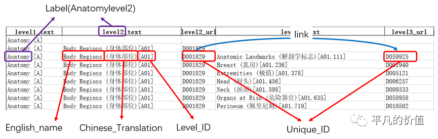 Neo4j知识图谱搭建与使用方法——MeSH(A)为例
