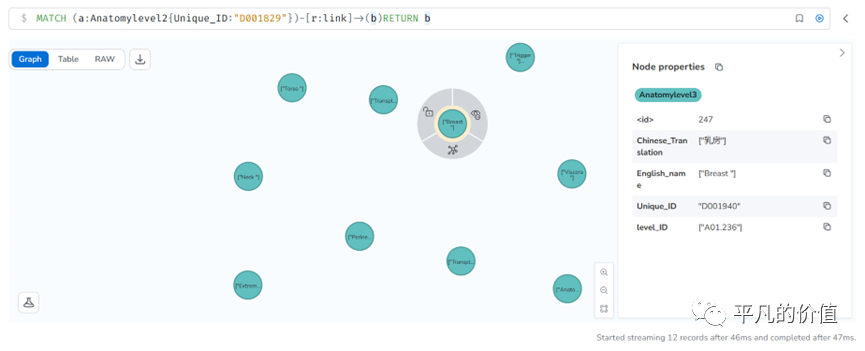 Neo4j知识图谱搭建与使用方法——MeSH(A)为例