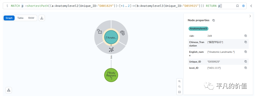 Neo4j知识图谱搭建与使用方法——MeSH(A)为例