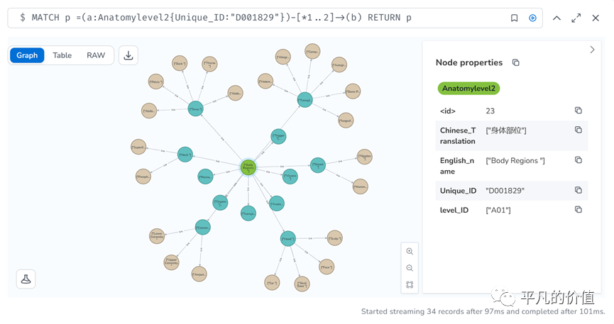 Neo4j知识图谱搭建与使用方法——MeSH(A)为例
