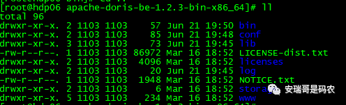 Doris是什么？近实时分布式OLAP数据库适用场景有哪些？
