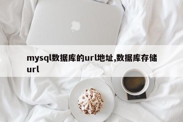 mysql数据库的url地址,数据库存储url