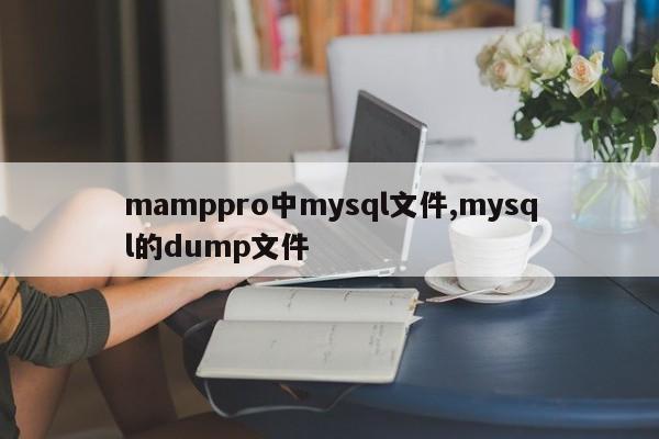 mamppro中mysql文件,mysql的dump文件